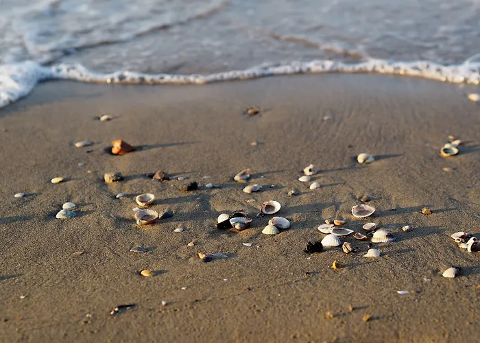 Lägenhet Peaceful Few Steps From The Center